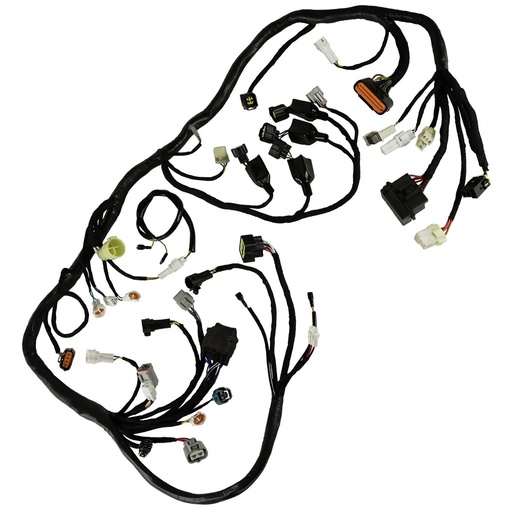 [1S3825902000] *RAPTOR 2009 700 INSTALACION ELECTRICA (CABLEADO)