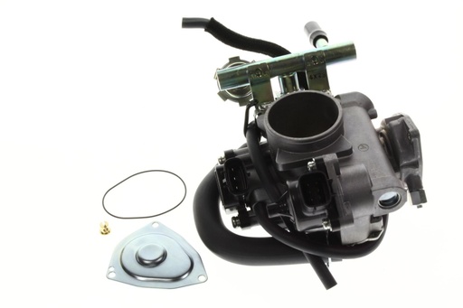 [1S3137501100] *RAPTOR 700 2009 CUERPO DE MARIPOSA COMPLETO